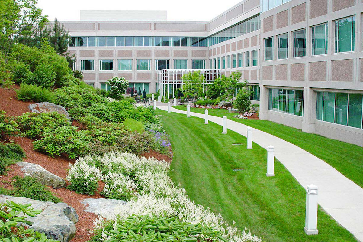 Landscaping & Grounds Maintenance